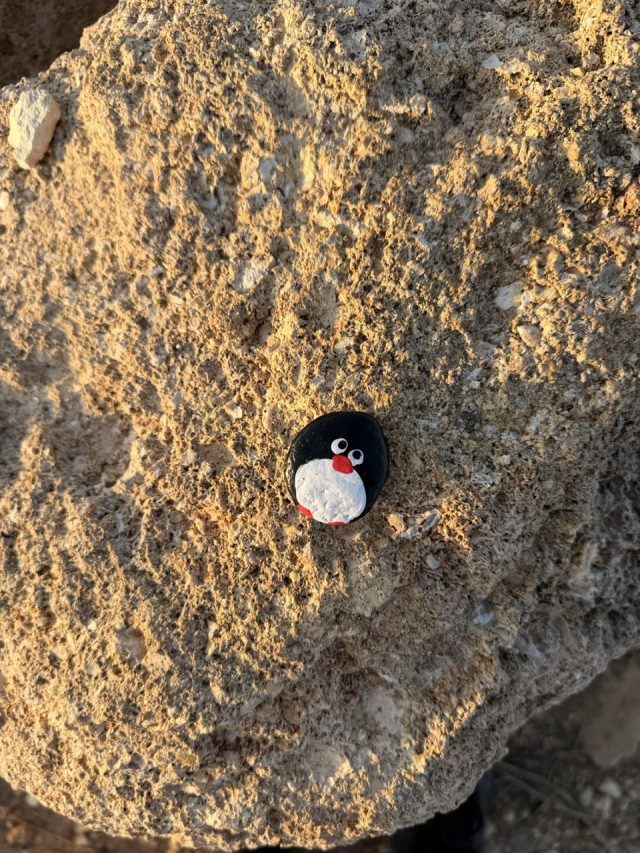 Hand-painted penguin stone #714 hidden at Seaside, Paphos, Cyprus (photo 4 of 5)
