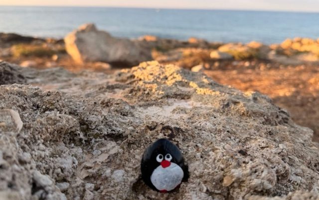 Hand-painted penguin stone #714 hidden at Seaside, Paphos, Cyprus