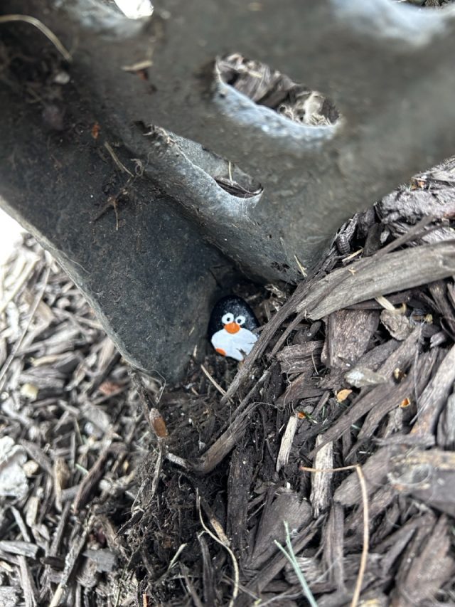 Hand-painted penguin stone #730 hidden at East Mount Vernon Place, Baltimore, United States (photo 4 of 5)