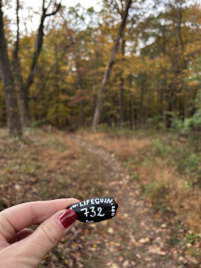 Hand-painted penguin stone #732 hidden at Watchung Reservation, New Jersey, United States (photo 5 of 5)