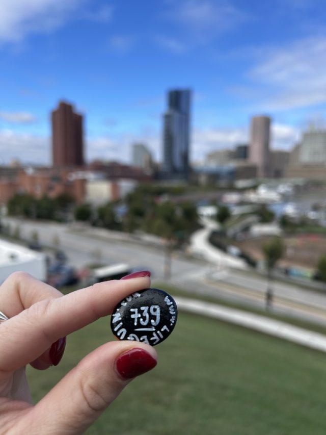 Hand-painted penguin stone #739 hidden at Federal Hill Park, Baltimore, United States (photo 4 of 5)