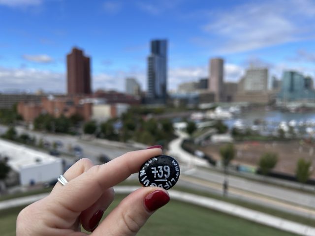 Hand-painted penguin stone #739 hidden at Federal Hill Park, Baltimore, United States (photo 5 of 5)