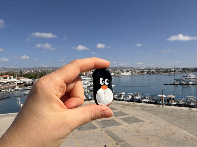 Hand-painted penguin stone #740 hidden at Inside Pafos Castle, Paphos, Cyprus (photo 4 of 5)