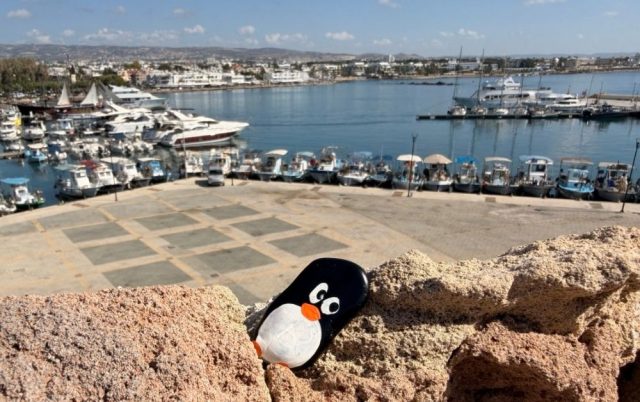 Hand-painted penguin stone #740 hidden at Inside Pafos Castle, Paphos, Cyprus