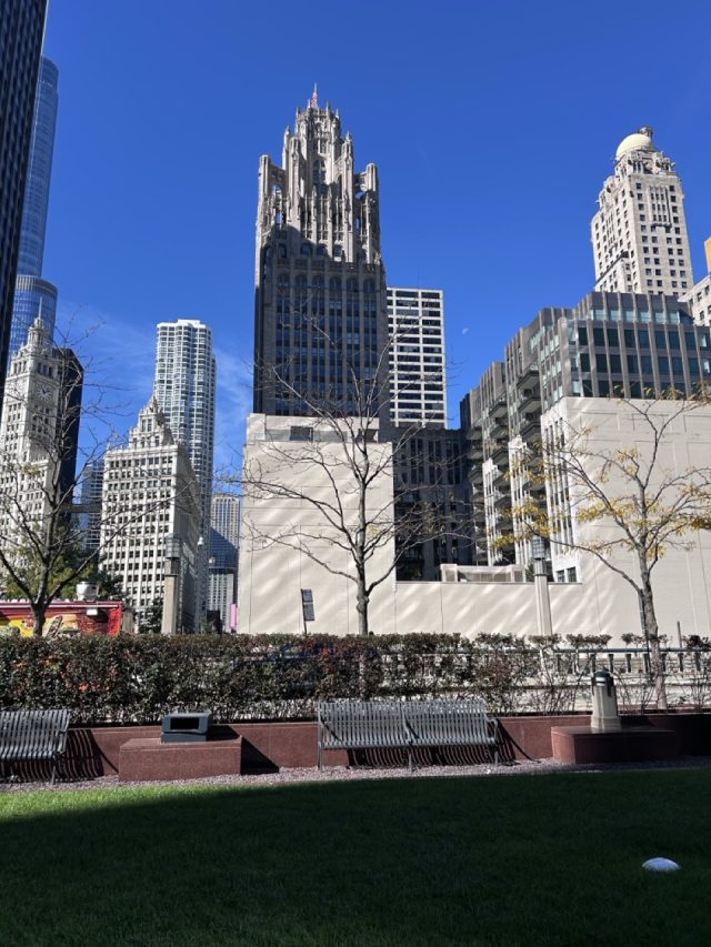 Hand-painted penguin stone #742 hidden at Cityfront Plaza, Chicago, United States (photo 2 of 5)