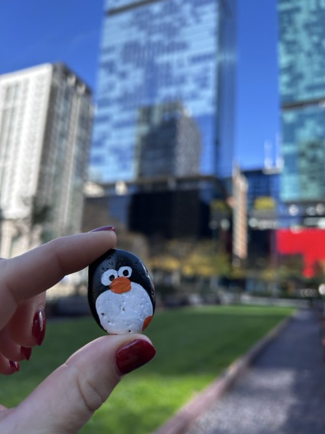 Hand-painted penguin stone #742 hidden at Cityfront Plaza, Chicago, United States (photo 4 of 5)