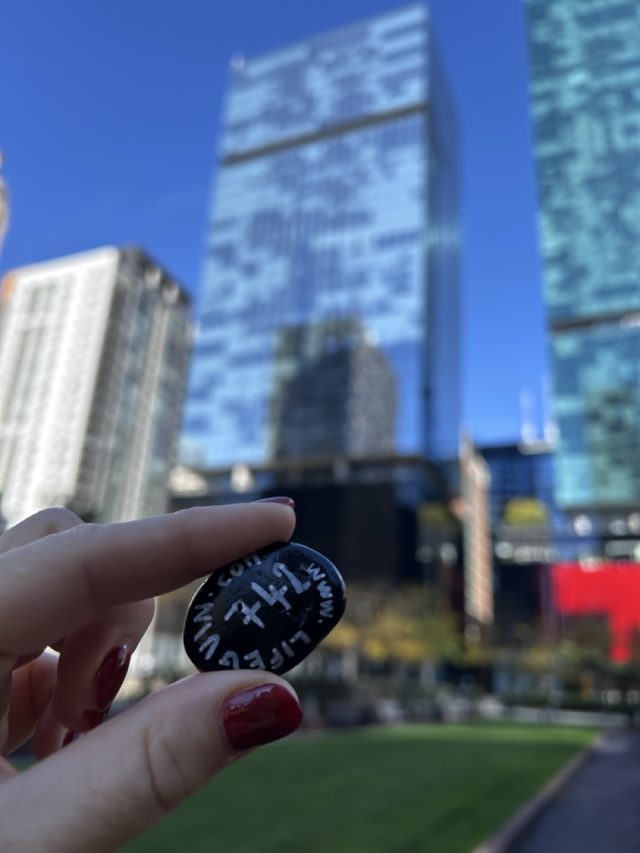Hand-painted penguin stone #742 hidden at Cityfront Plaza, Chicago, United States (photo 5 of 5)