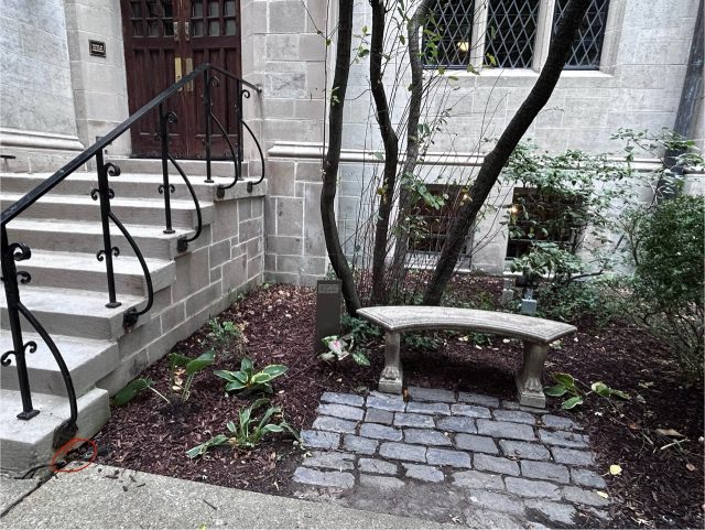 Hand-painted penguin stone #745 hidden at Fourth Presbyterian Church, Chicago, United States (photo 2 of 5)