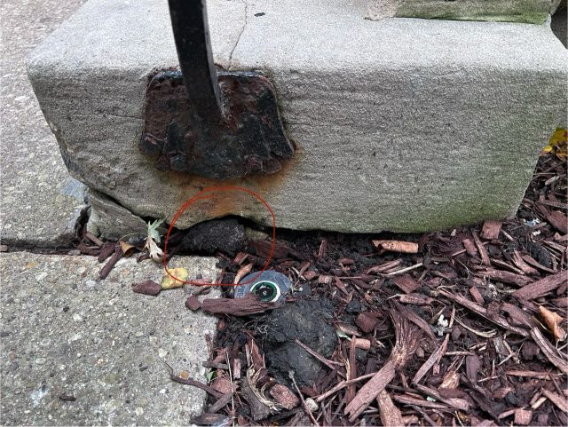Hand-painted penguin stone #745 hidden at Fourth Presbyterian Church, Chicago, United States (photo 4 of 5)