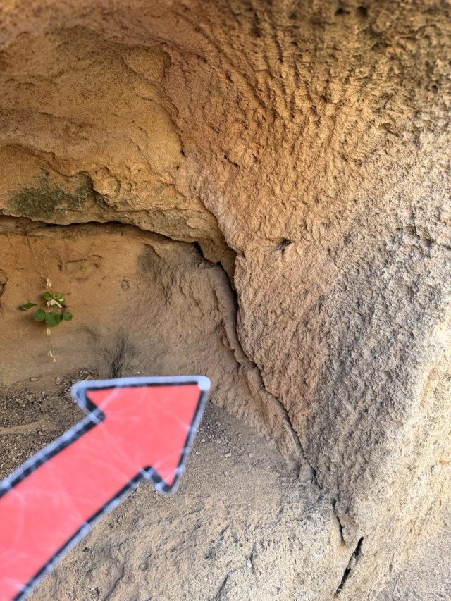 Hand-painted penguin stone #753 hidden at Tomb 7 at Tombs of Kings, Paphos, Cyprus (photo 3 of 5)