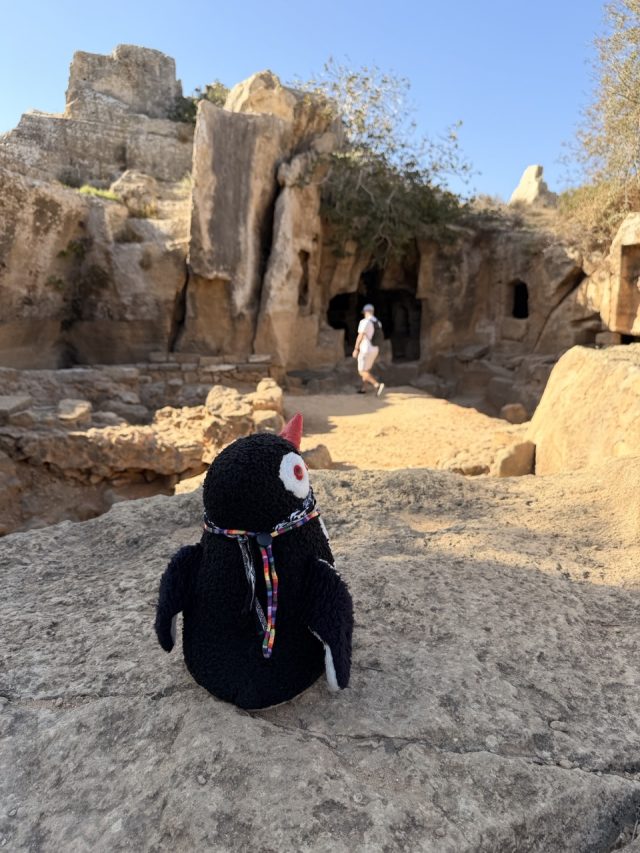 Hand-painted penguin stone #754 hidden at Tomb 9 at Tombs of Kings, Paphos, Cyprus (photo 5 of 5)