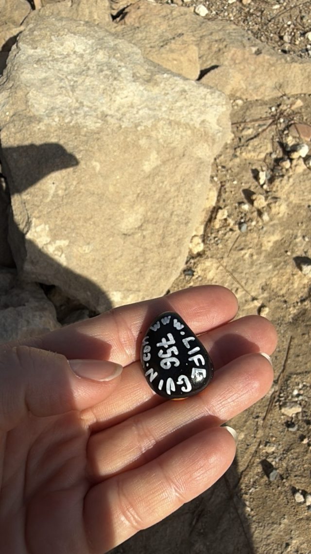 Hand-painted penguin stone #756 hidden at The House of Dionysos, Paphos, Cyprus (photo 5 of 5)