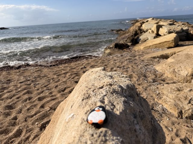 Hand-painted penguin stone #761 hidden at Louis Ledra Beach, Paphos, Cyprus (photo 2 of 5)