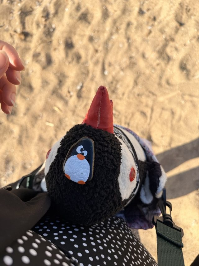 Hand-painted penguin stone #761 hidden at Louis Ledra Beach, Paphos, Cyprus (photo 4 of 5)