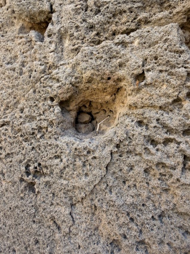 Hand-painted penguin stone #763 hidden at Toumpallos, Paphos, Cyprus (photo 5 of 5)