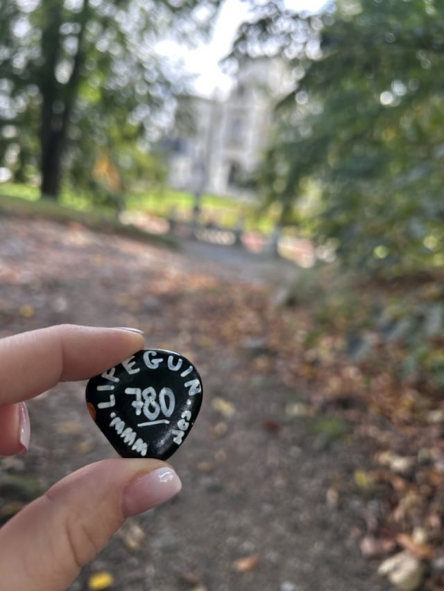 Hand-painted penguin stone #780 hidden at Castle Park, Hluboka nad Vltavou, Czechia (photo 2 of 5)