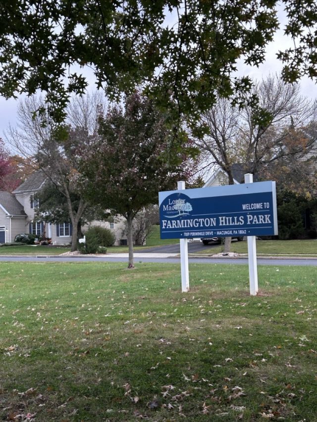 Hand-painted penguin stone #783 hidden at Farmington Hills Park, Macungie, United States (photo 3 of 5)