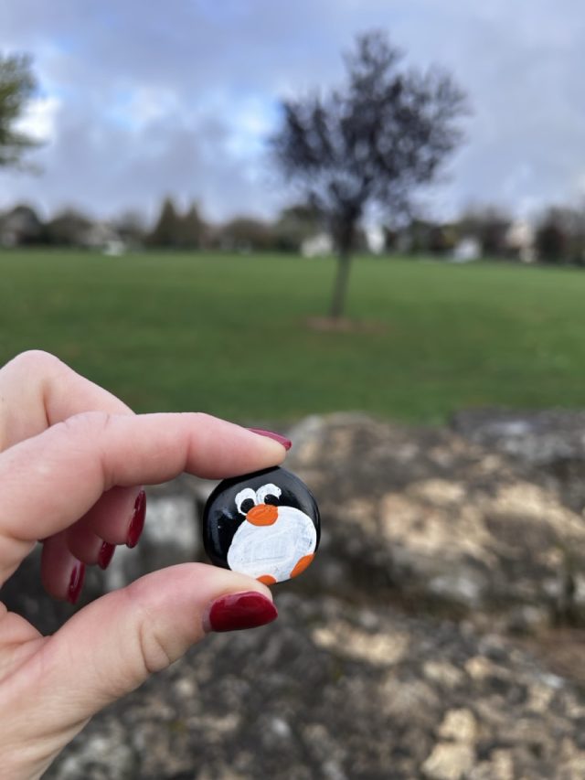 Hand-painted penguin stone #783 hidden at Farmington Hills Park, Macungie, United States (photo 4 of 5)
