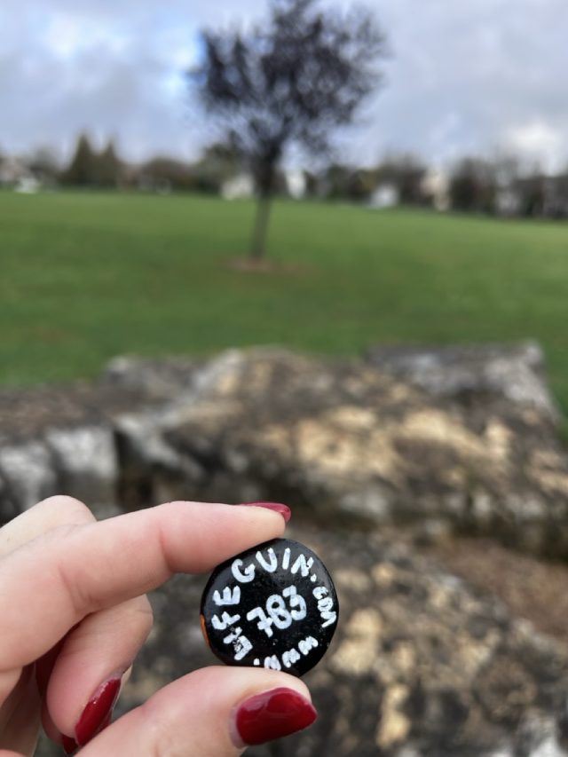 Hand-painted penguin stone #783 hidden at Farmington Hills Park, Macungie, United States (photo 5 of 5)