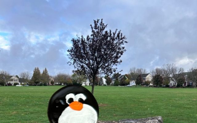 Hand-painted penguin stone #783 hidden at Farmington Hills Park, Macungie, United States