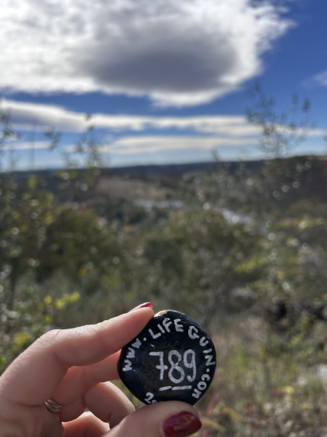 Hand-painted penguin stone #789 hidden at Elk Ridge Trail, Trexler Nature Preserve, United States (photo 4 of 5)