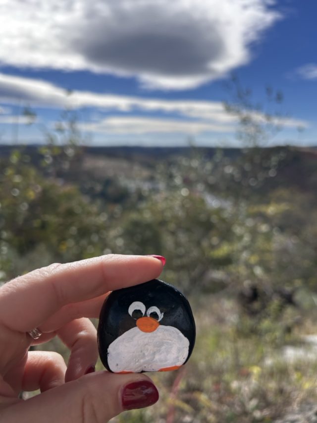 Hand-painted penguin stone #789 hidden at Elk Ridge Trail, Trexler Nature Preserve, United States (photo 5 of 5)