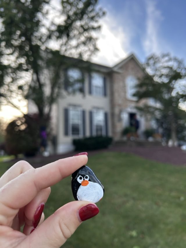 Hand-painted penguin stone #798 hidden at Ancient Oaks, Macungie, United States (photo 3 of 5)