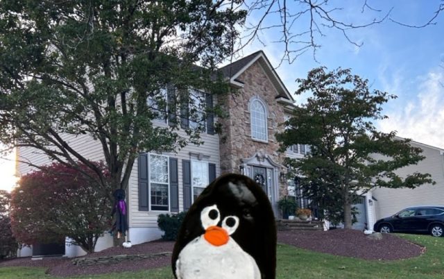 Hand-painted penguin stone #798 hidden at Ancient Oaks, Macungie, United States