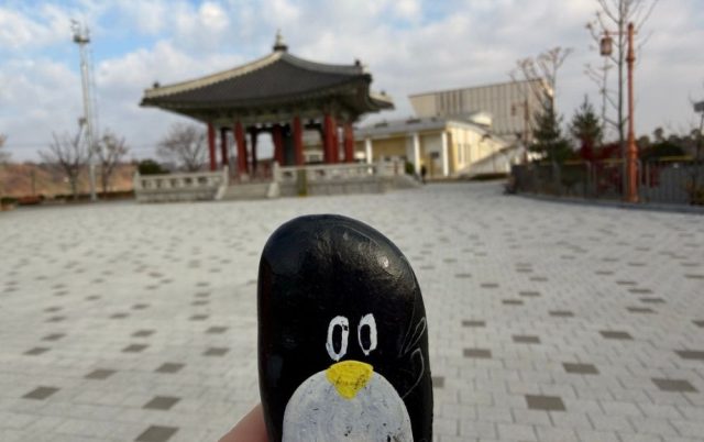 Ručne maľovaný tučniakový kameň č. 100 ukrytý na mieste The Peace Bell, Gyeonggi-do, Južná Kórea