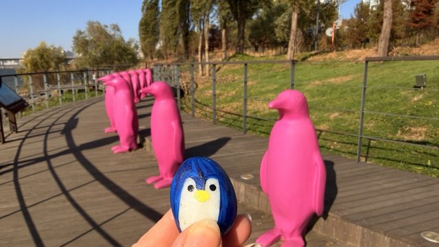 Hand-painted penguin stone #1382 hidden at Pink Penguins, Seoul, South Korea (photo 2 of 5)