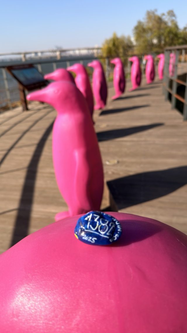 Hand-painted penguin stone #1382 hidden at Pink Penguins, Seoul, South Korea (photo 5 of 5)