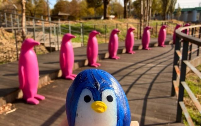 Hand-painted penguin stone #1382 hidden at Pink Penguins, Seoul, South Korea