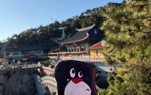 Hand-painted penguin stone #200 hidden at Stone sign at Haedong Yonggungsa Temple, Busan, South Korea