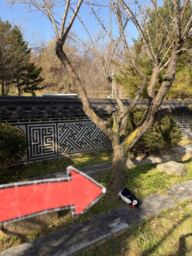 Hand-painted penguin stone #300 hidden at 3rd Tunnel, DMZ, South Korea (photo 5 of 5)