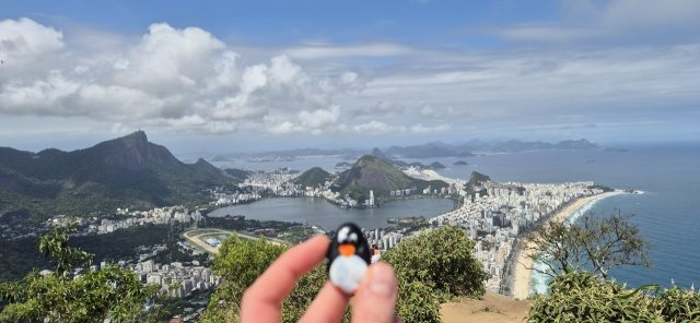 Hand-painted penguin stone #336 hidden at Morro dos Irmaos, Rio de Janeiro, Brazil (photo 4 of 5)