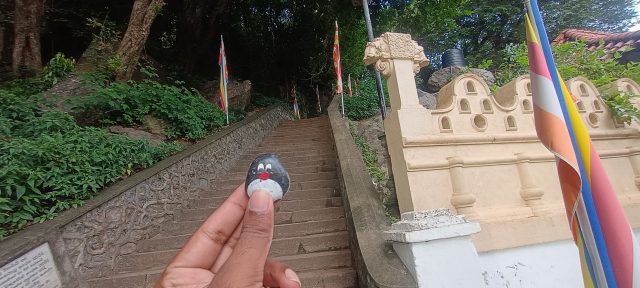 Hand-painted penguin stone #457 hidden at Dambulla Cave Temple, Dambulla, Sri Lanka (photo 2 of 5)