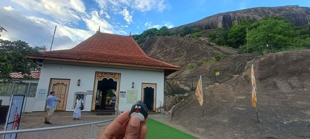 Hand-painted penguin stone #457 hidden at Dambulla Cave Temple, Dambulla, Sri Lanka (photo 5 of 5)
