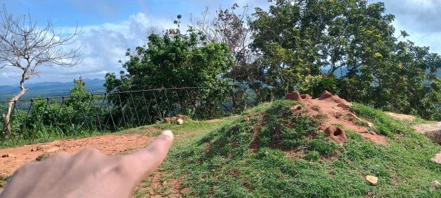 Ručne maľovaný tučniakový kameň č. 481 ukrytý na mieste Rock Fortress, Sigiriya, Srí Lanka (fotka 4 z 5)