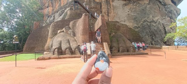 Ručne maľovaný tučniakový kameň č. 481 ukrytý na mieste Rock Fortress, Sigiriya, Srí Lanka (fotka 5 z 5)