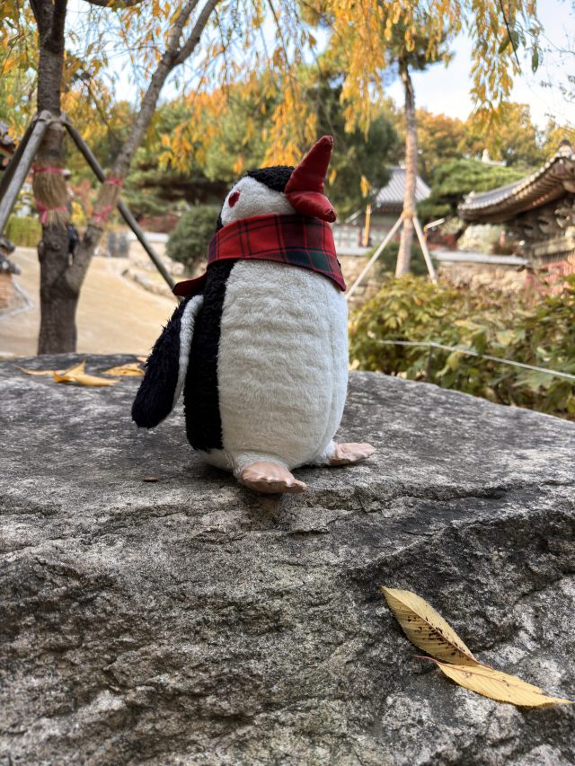 Hand-painted penguin stone #701 hidden at Bongeunsa Temple, Seoul, South Korea (photo 4 of 5)