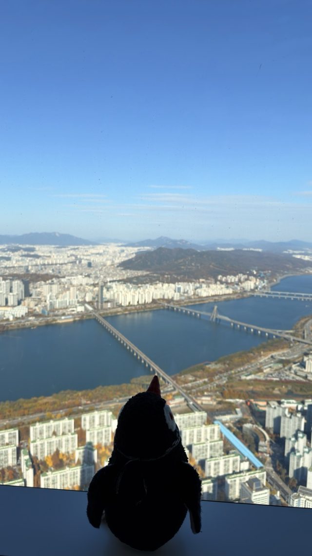 Ručne maľovaný tučniakový kameň č. 706 ukrytý na mieste Lotte World Tower, Seoul, Južná Kórea (fotka 2 z 5)