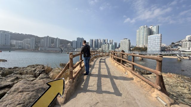 Hand-painted penguin stone #713 hidden at Turtle Island, Busan, South Korea (photo 2 of 5)