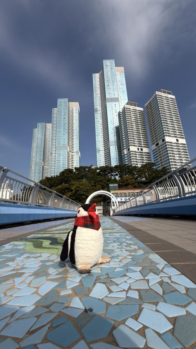 Hand-painted penguin stone #713 hidden at Turtle Island, Busan, South Korea (photo 3 of 5)