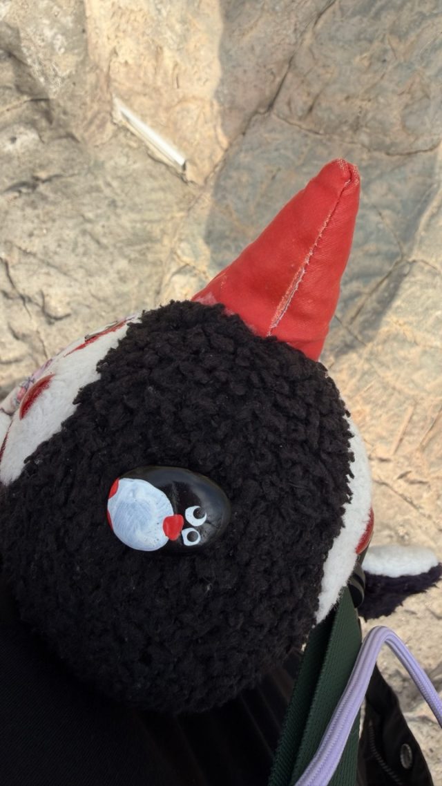 Hand-painted penguin stone #713 hidden at Turtle Island, Busan, South Korea (photo 5 of 5)