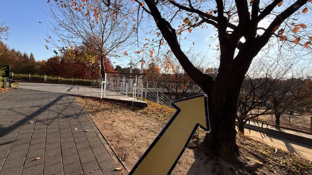 Hand-painted penguin stone #716 hidden at Deer Enclosure, Seoul, South Korea (photo 4 of 5)