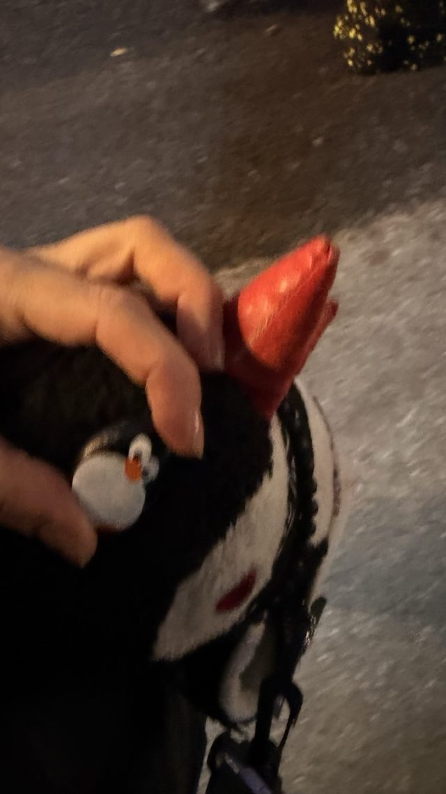 Hand-painted penguin stone #723 hidden at LeMong Hotel, Seoul, South Korea (photo 5 of 5)