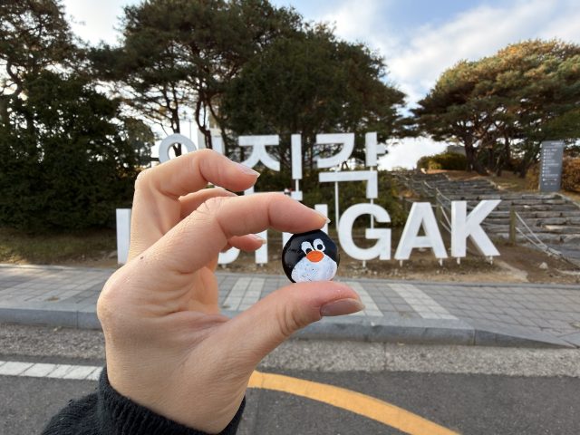 Hand-painted penguin stone #724 hidden at Imjingak Sign, Gyeonggi-do, South Korea (photo 2 of 5)
