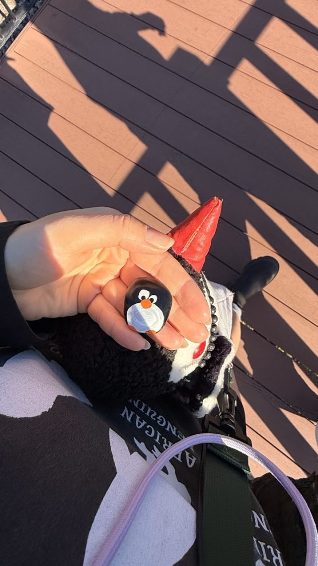 Hand-painted penguin stone #746 hidden at Cheongsapo Daritdol Skywalk, Busan, South Korea (photo 2 of 5)