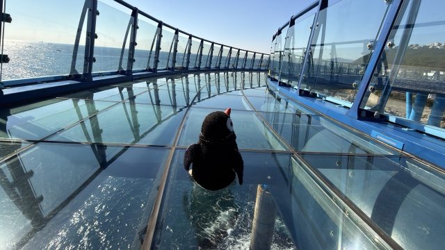 Hand-painted penguin stone #746 hidden at Cheongsapo Daritdol Skywalk, Busan, South Korea (photo 4 of 5)