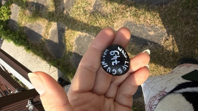 Hand-painted penguin stone #749 hidden at Huin-yeoul Observatory, Busan, South Korea (photo 2 of 5)